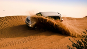 Desert Thrills and Culture: A Complete Safari Guide